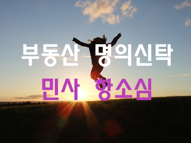  자매간 부동산 계약 명의신탁,민사 항소심 항소인용 승소 사례