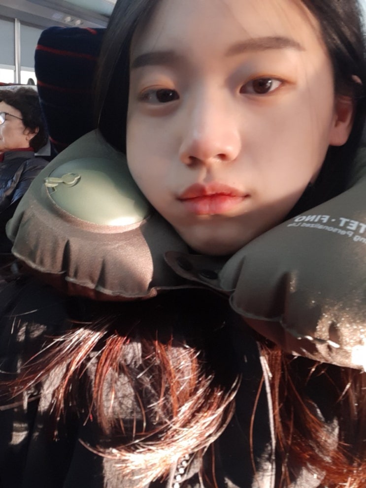  장거리여행에는 휴대용 에어  목쿠션추천 낮잠필수품!
