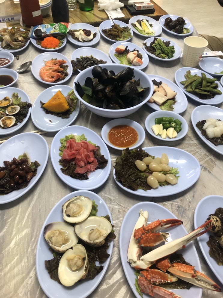 진짜다! 60첩 스끼다시와 회 내고향강원도 다녀와보니