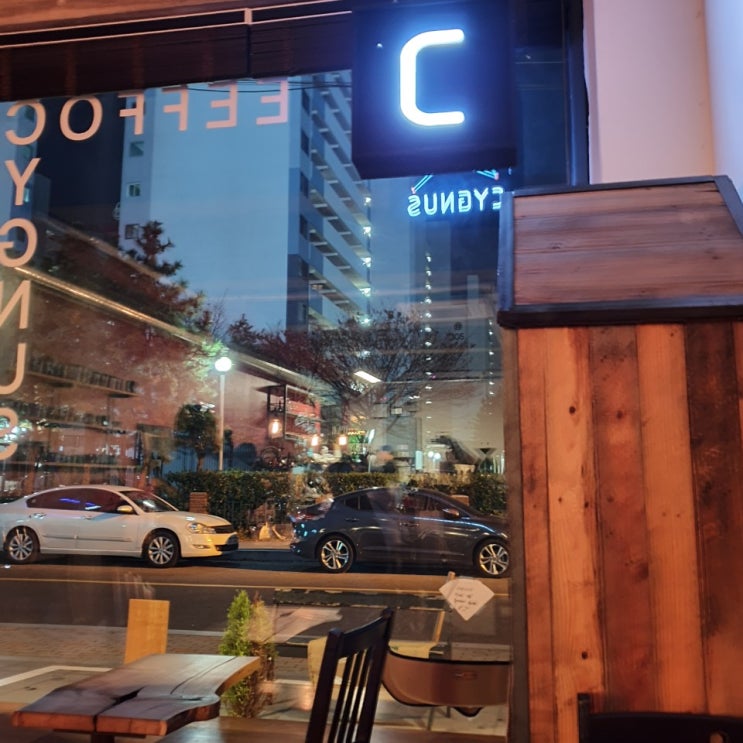  울산 삼산 달동 커피 맛집!! 고양이가 사는 카페 < 시그너스 커피바 >
