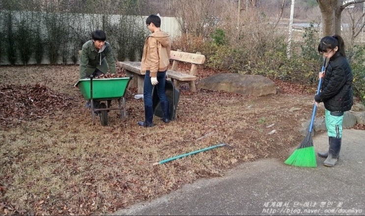  [4년 전 오늘] 잔디에 떨어진 낙엽을 다 치웠어요 (芝生に落ちた枯れ葉をみんな片付けました)
