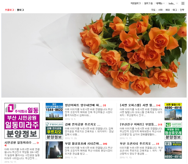  부산시청 꽃집 찰나의 꽃 방문하여 블로그 타이틀 사진꾸미기