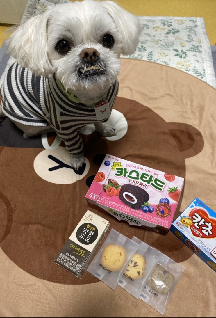 위캔쿠키, 롯데 카스타드 카카오베리 & 칸쵸 스윗밀크 위캔쿠키, 롯데 카스타드 카카오베리 & 칸쵸 스윗밀크