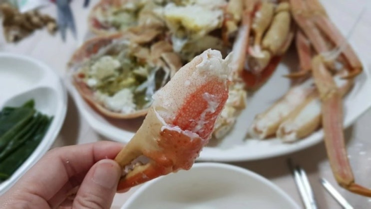  포항 가볼만한곳 : 대게 맛집 죽도시장 11번집, 칼제비 대게빵