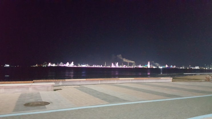  포항 영일대해수욕장 어랑 자연산 활어회