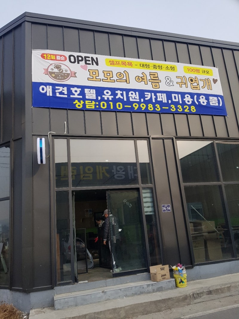 사진 2