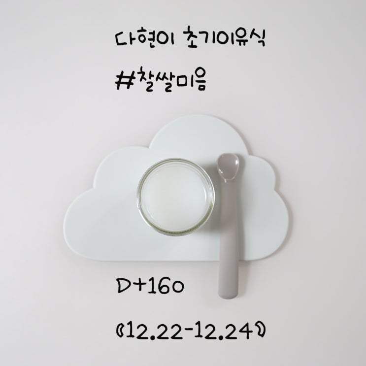  다현이 초기이유식/찹쌀미음