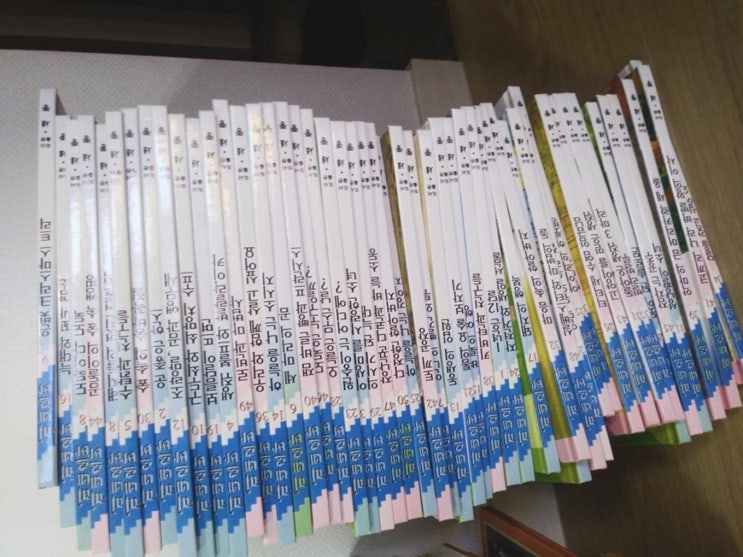  (개똥이네)  (중고) 미네르바 (30,000원)