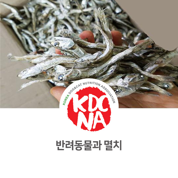  [강아지 고양이 영양 정보] 반려동물 멸치 안전하게 급여하는 방법은 무엇일까요?_127