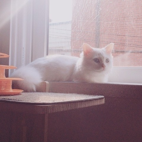  Sunday morning️그의 등 뒤에서 광채가,,,