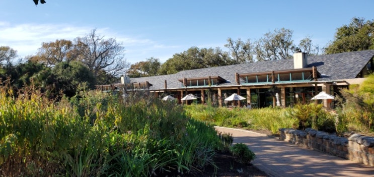  케이프타운 커스텐보쉬 네셔널 보타닉 가든(kirstenbosch national botanic garden)