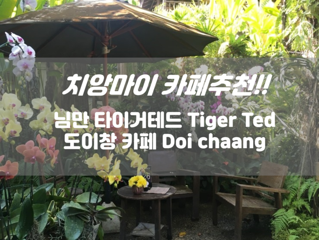  태국여행 - 님만해민 타이거테드, 다시 찾을 매림 가든 도이창카페 