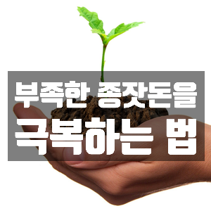 부족한 종잣돈을 극복하는 법 부족한 종잣돈을 극복하는 법