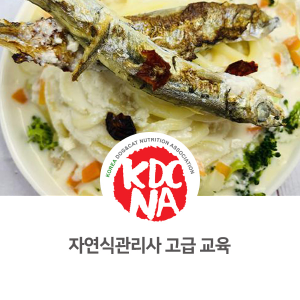  [펫푸드 전문 자격증 취득] 반려동물 자연식관리사 고급 과정 교육 후기_84
