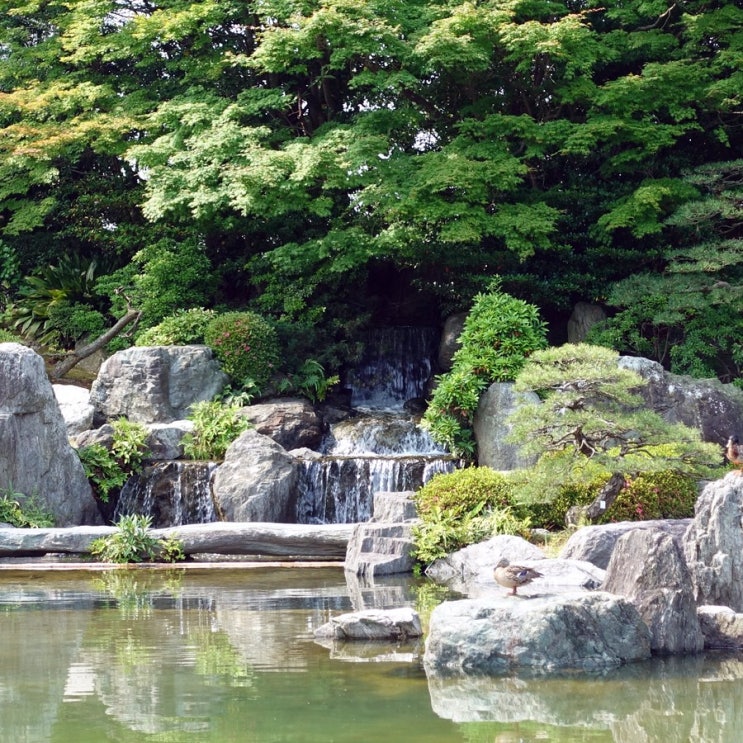 #191222 일본 후쿠오카 여행 2일차 - 오호리코엔 일본정원 Ohori Park Japanese Garden