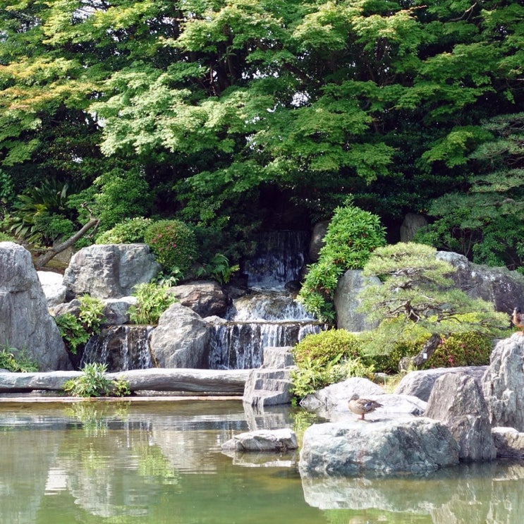  #191222 일본 후쿠오카 여행 2일차 - 오호리코엔 일본정원 Ohori Park Japanese Garden