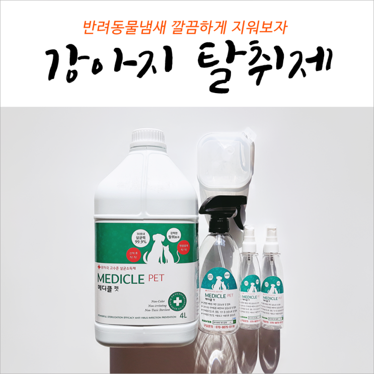  강아지오줌냄새 깔끔하게 지워보자