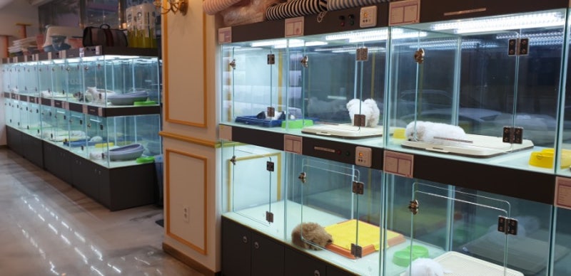 도그마루 일산점 후기♪ : 네이버 블로그 도그마루 일산점 후기♪ : 네이버 블로그