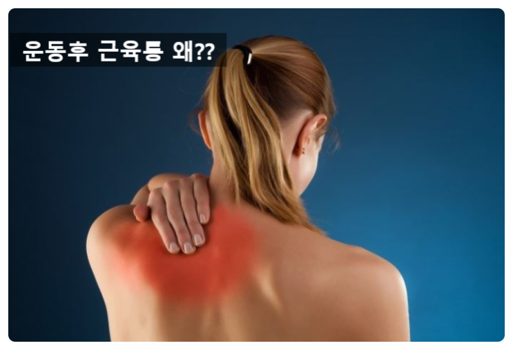  (광교PT) 근육운동 후 근육통은 왜 생길까요? DOMS 지연성근육통의 진실!
