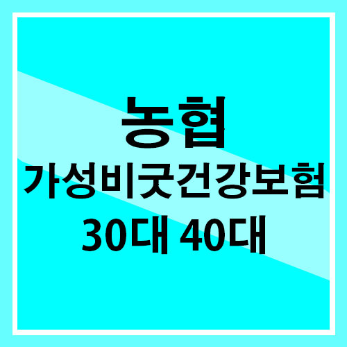  [농협] 보험료가 저렴한 종합보험 30대 40대