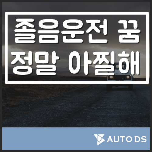 졸음운전 하는 꿈 24시간 운전했네요..