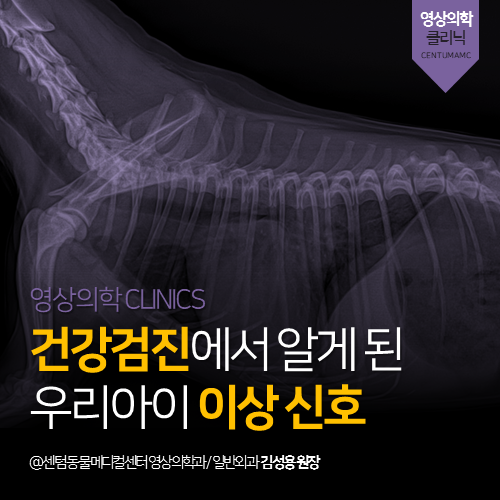  [영상의학과] 건강검진에서 알게 된 우리 아이 이상 신호 (부산 남구 대연동 용호동 용당동 강아지 초음파 방사선 분석 전문 동물병원)