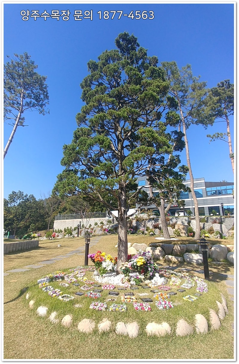 양주수목장 (가격, 위치, 종합안내) : 네이버 블로그