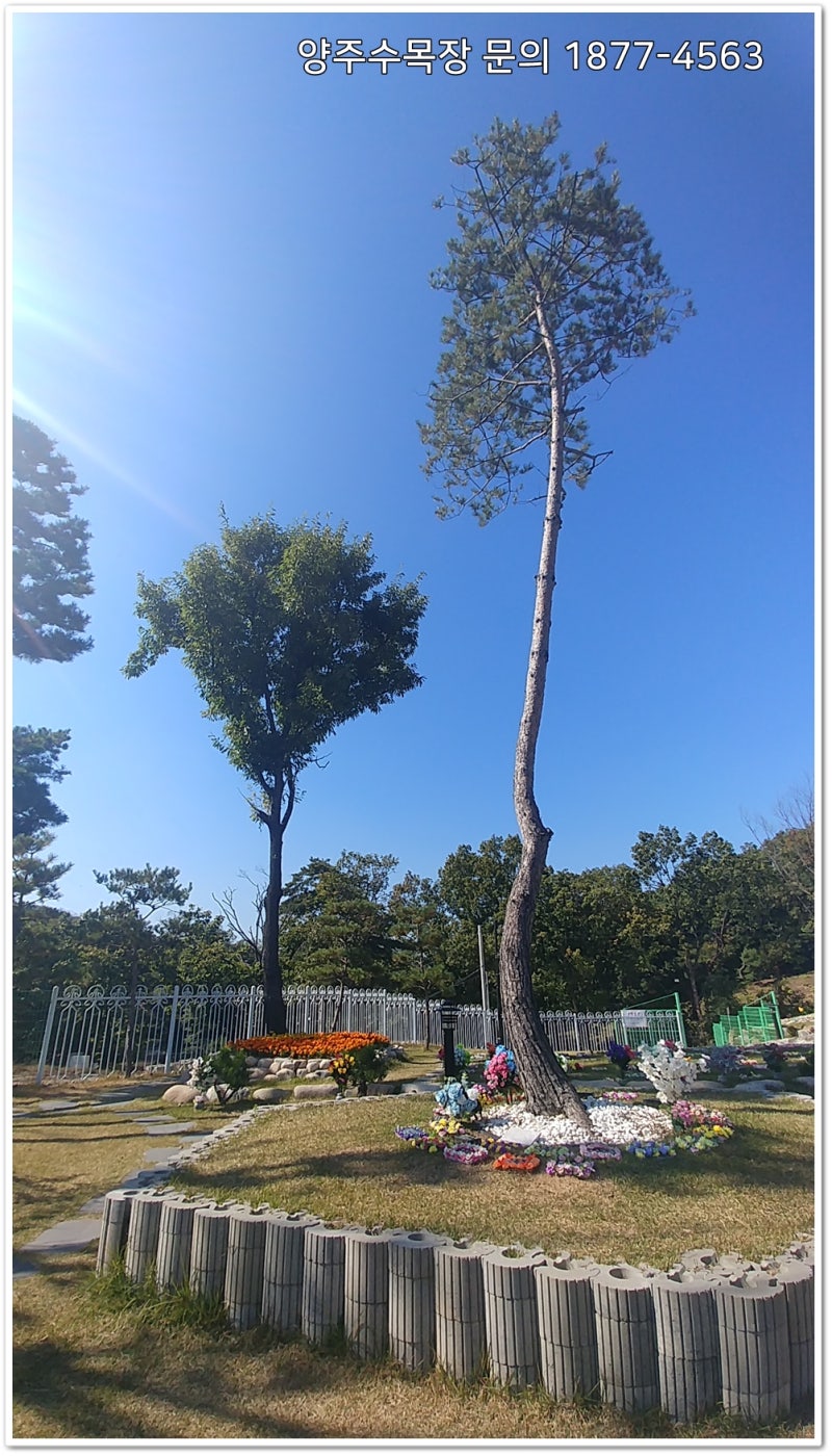 양주수목장 (가격, 위치, 종합안내) : 네이버 블로그