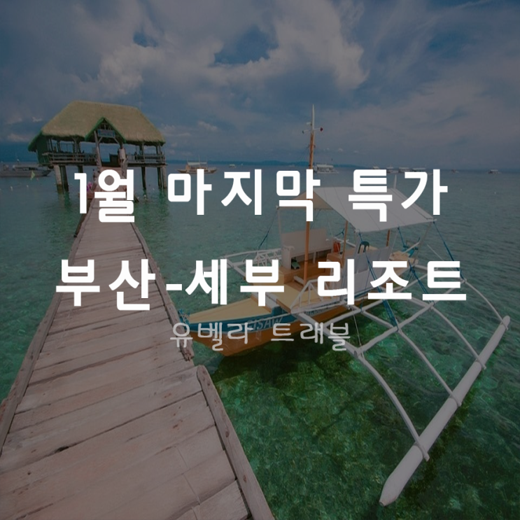  [특가][부산출발] 필리핀 세부 3박5일 패키지 자유여행 에어부산