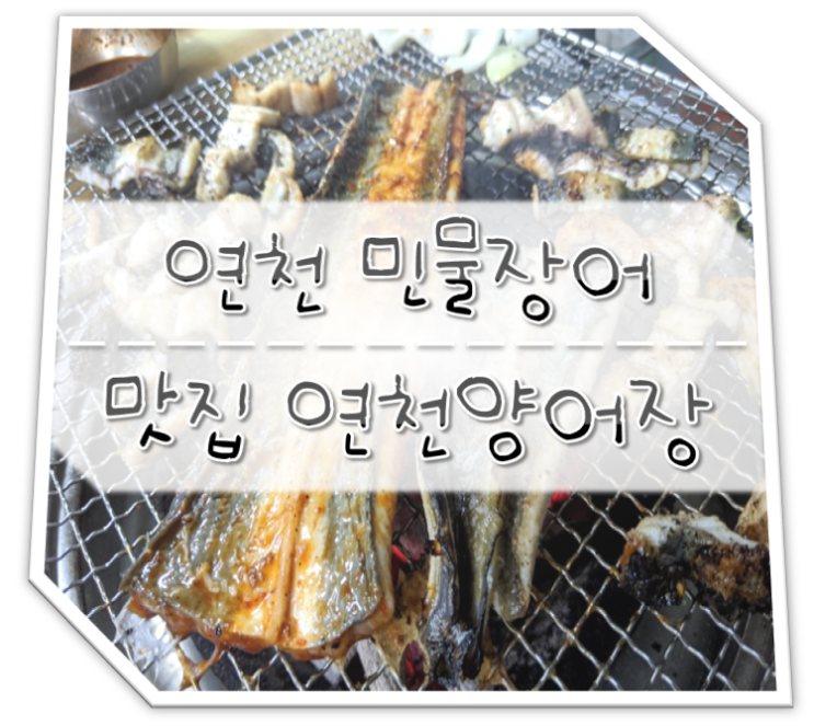  연천 민물장어 맛집 연천양어장