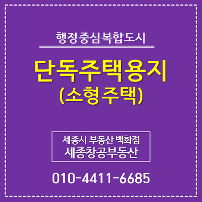  세종시 이주자택지, 4-1 생활권 D3 블록 단독주택용지 - 부제 : 소형주택