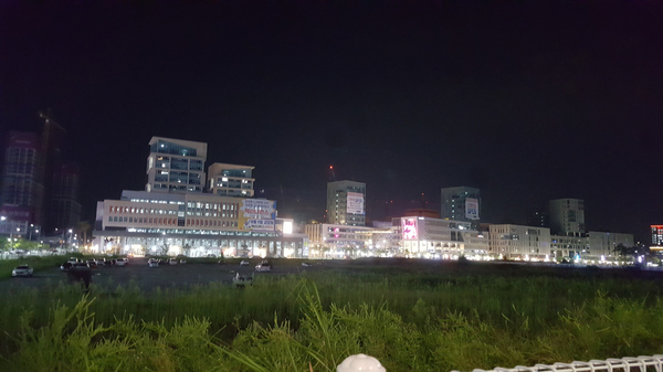  세종시 백화점 부지 임시 활용방안