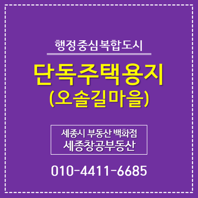  세종시 이주자택지, 6-4생활권 D1블록 단독주택용지 - 부제 : 오솔길마을