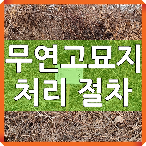  무연고묘지처리 사례와 절차 -1(충북 보은군)