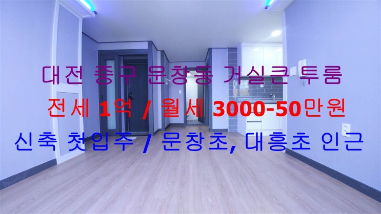 대전 중구 문창동 대흥초, 문창초 인근에 있는 신축 첫입주 거실큰 투룸 전세, 월세 모두 가능한 매물입니다 ^^ 대전 중구 문창동 대흥초, 문창초 인근에 있는 신축 첫입주 거실큰 투룸 전세, 월세 모두 가능한 매물입니다 ^^