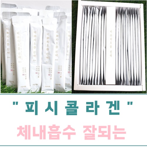  피시콜라겐 먹고 피부 탄력 고민 해결