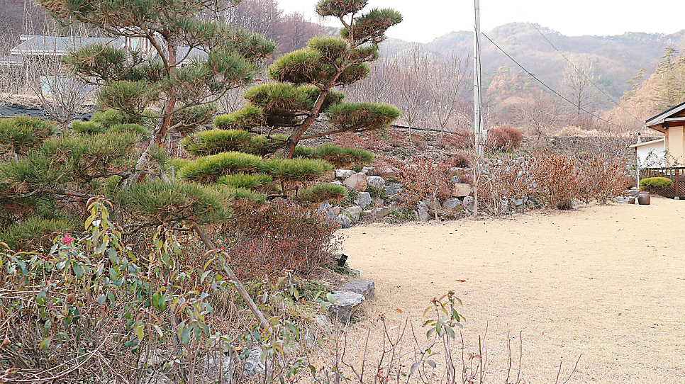 동막골민박 사진 3