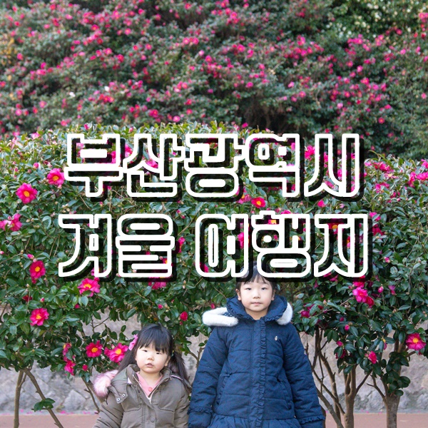  겨울 여행지 추천 부산 동백섬과 해운대빛축제, 해운대시장 맛집