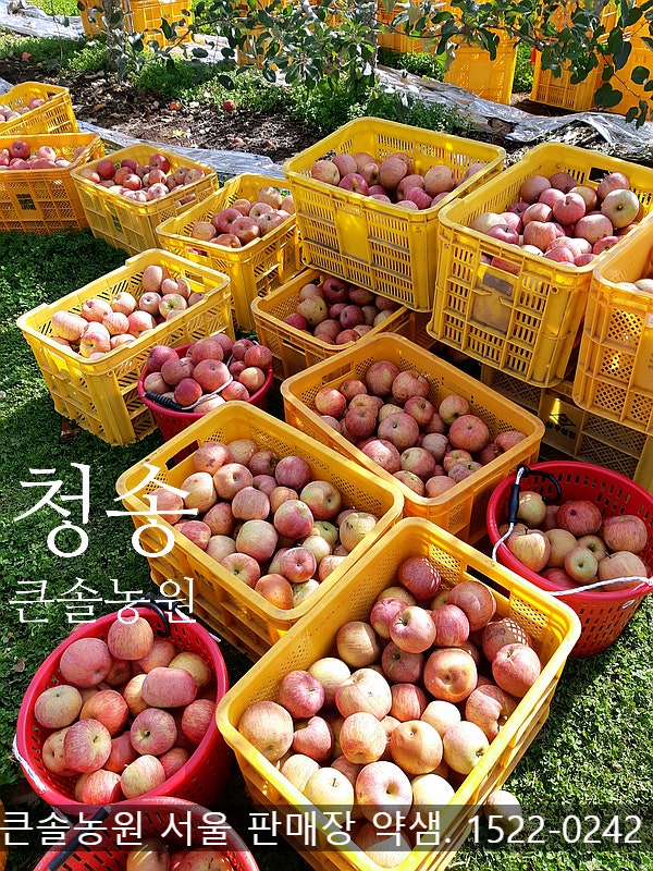 뱀밭골 사진 1