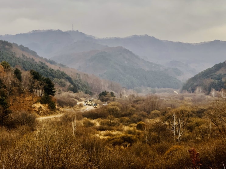  인제 비밀의정원의 불편한 진실