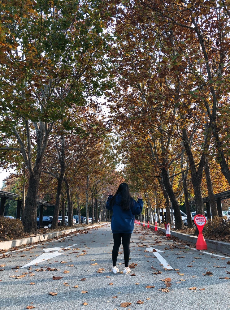  [븅화블로그&블로그씨]다시 가고 싶은 곳:올림픽공원