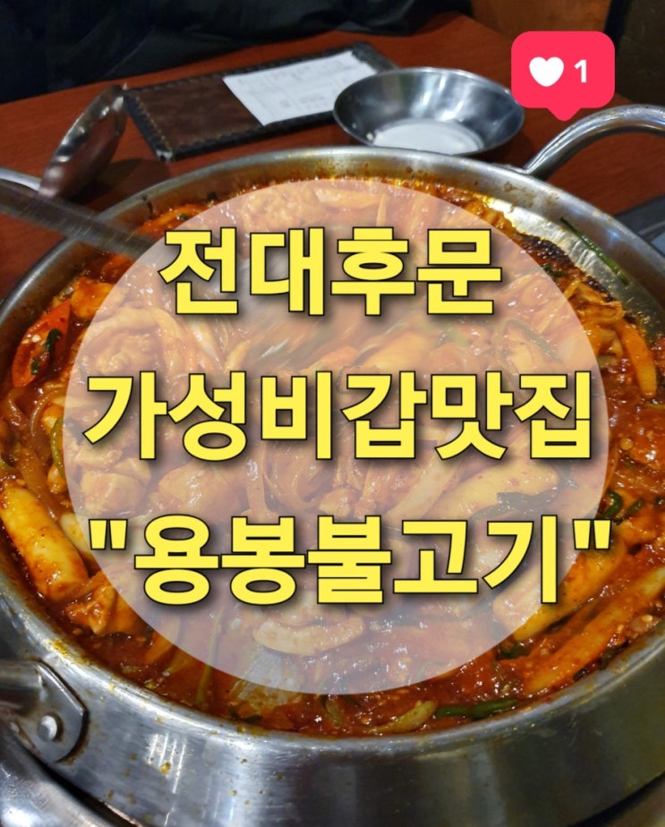 전대후문 가성비맛집 "용봉불고기" (전대불고기/닭볶음탕/쭈꾸미불고기/차돌박이낙지전골/수제비)