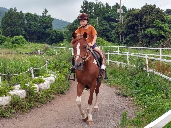  비가 와서 더 좋았던 세가족 첫번째 제주도 동쪽여행