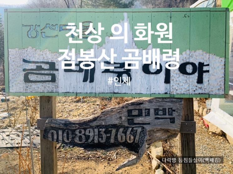  "천상의 화원" 점봉산 곰배령