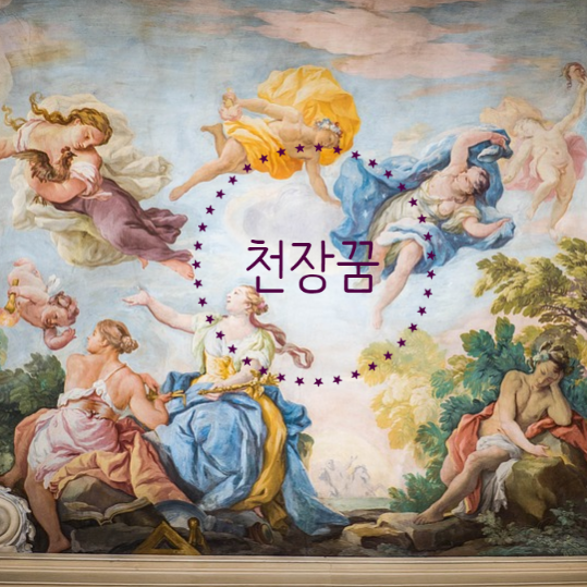  천장꿈 꾸셨나요