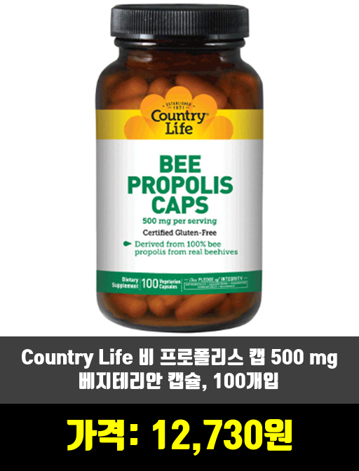  [영양제] 프로폴리스 추천 순위 TOP 10 하반기 2019