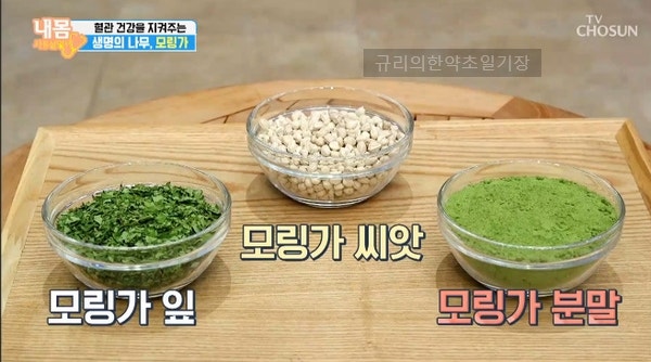 모링가잎분말 효능 부작용 1+1 여기에 추천 6