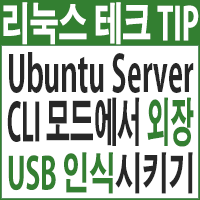  Ubuntu Server에 USB 인식시키기