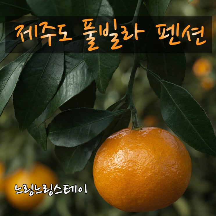  제주도펜션 독채로 즐기는 느링느링스테이 추천합니다.