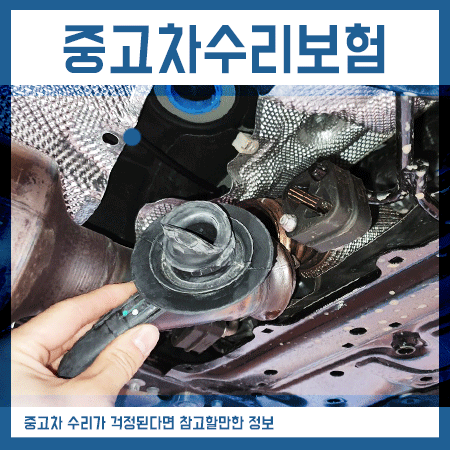  중고차수리비 절약 카디프 내차사랑품질보증보험 들었어요.